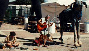 street musician